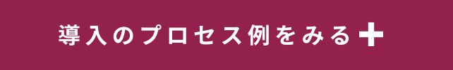 導入プロセス例を見る