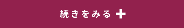 続きをみる